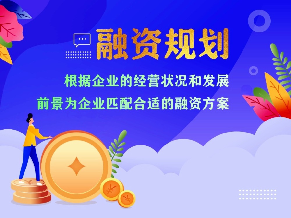 融資規(guī)劃