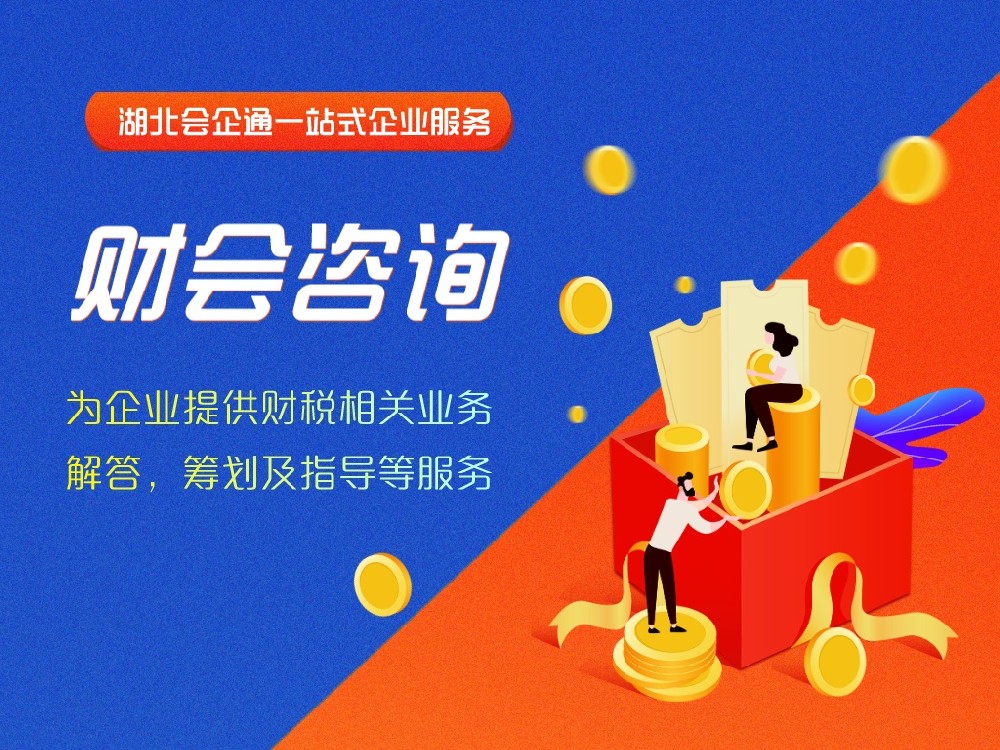 財(cái)會(huì)咨詢(xún)